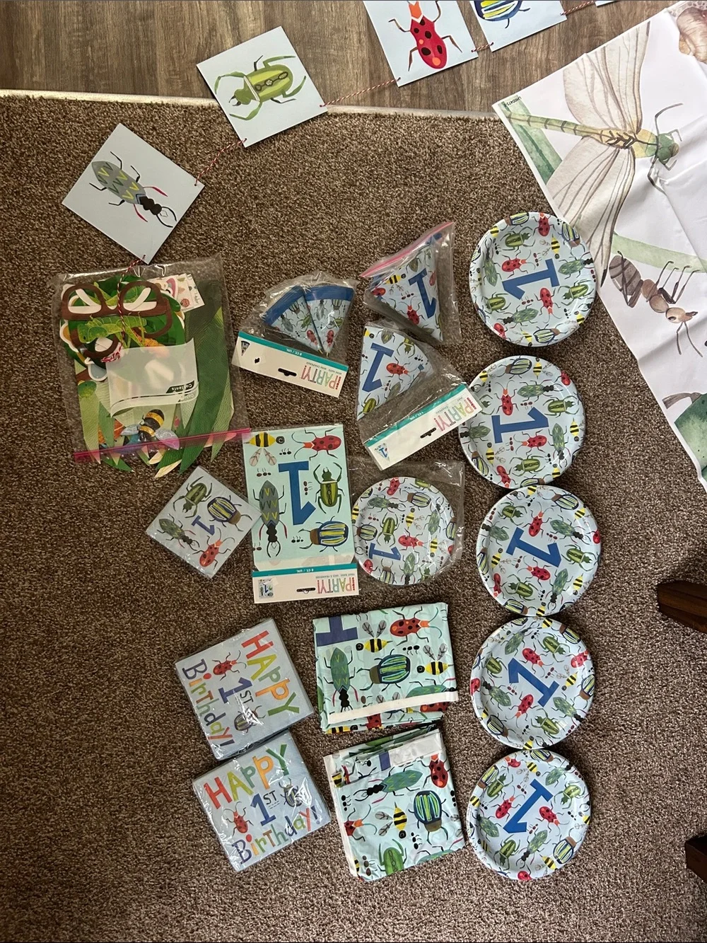 1st Birthday Bug-Themed Party Plates, Napkins & Hats - Blue/Green/Red